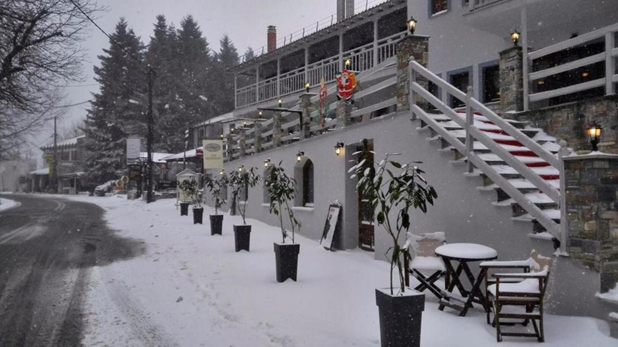 Anamar Pilio Resort Pelion Экстерьер фото